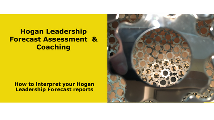 Product image for Hogan Leadership Forecast Assessment & Coaching
