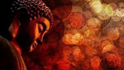 Product image for Finding Joy in the Midst of Pain 2011