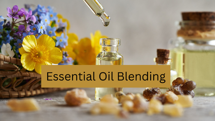 Product image for Essential Oil Blending 