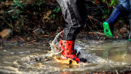 Product image for Risk at Forest School