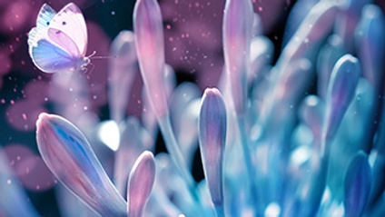 Product image for The XIth ROMANIAN CONFERENCE OF GEMMOTHERAPY - 2023
