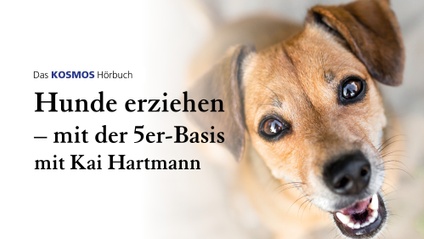 Product image for Hörbuch Hunde erziehen – Mit der 5er-Basis