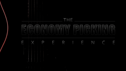 Product image for THE ECONOMY PICKING EXPERIENCE