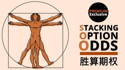 Product image for 胜算期权 (Stacking Option Odds)