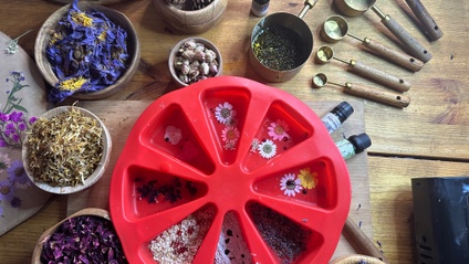 Product image for Home made Foraged Cosmetics