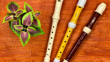 Product image for Flute Recorder - Level One