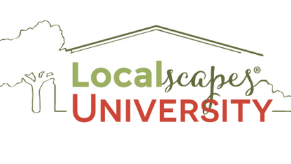 Product image for Localscapes University 2024