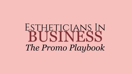 Product image for The Promo Playbook