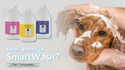 Product image for How Smart is SmartWash? ft. Chris Christensen
