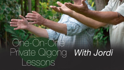 Product image for One-On-One Private Qigong Lesson with Jordi