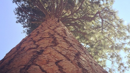 Product image for Living with Intention: Cultivate Your Life Well-Loved
