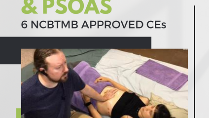 Product image for Abdominal & Psoas