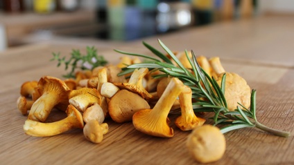 Product image for Mushroom Farming