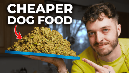 Product image for How to Cook For Your Dog