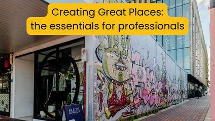Product image for Creating Great Places: the essentials for professionals