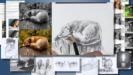 Product image for Quick Sketch Collection
