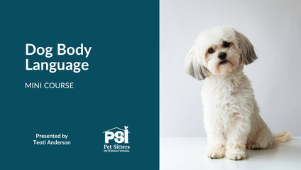 Product image for Mini Course: Dog Body Language