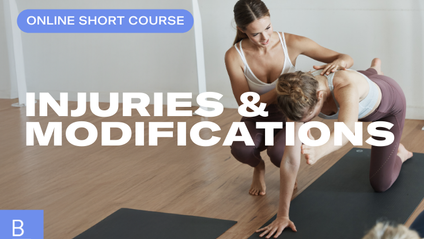 Product image for Injuries and modifications
