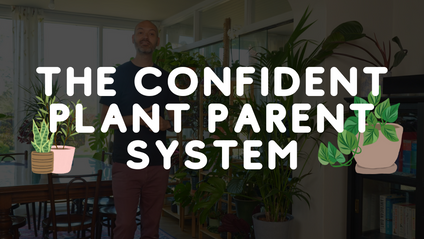 Product image for The Confident Plant Parent System
