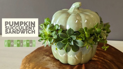 Product image for Flower Arranging Fridays: Pumpkin Soup Bowl Succulent Sandwich