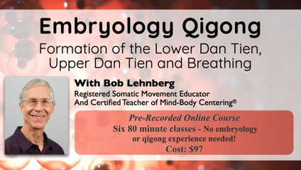 Product image for Embryological Formation of the Lower Dan Tien, Upper Dan Tien, and Breathing