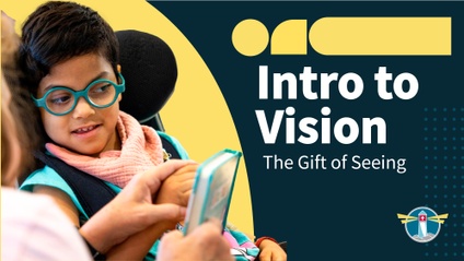 Product image for The Gift of Seeing: Introduction to Vision