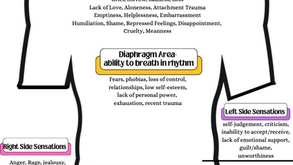 Product image for Trauma Responses/Healing Responses in the Body 