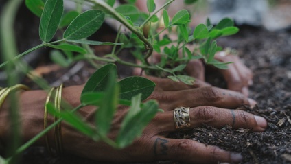 Product image for IN-PERSON 10-Month Herbalist Professional Herbalist Certification Program