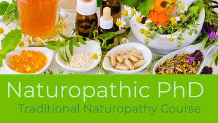 Product image for The Avicenna Institute: Naturopathic PhD Course
