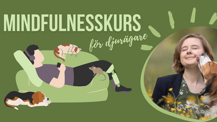 Product image for Mindfulness för djurägare