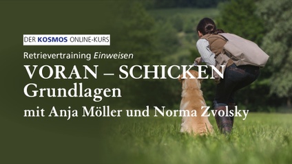Product image for Retrievertraining EINWEISEN | Voran-Schicken Grundlagen