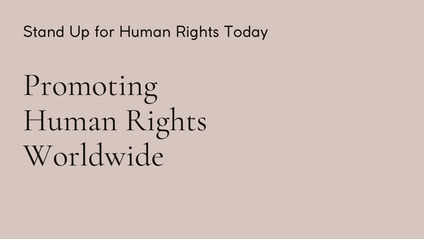 Product image for HUMAN RIGHTS