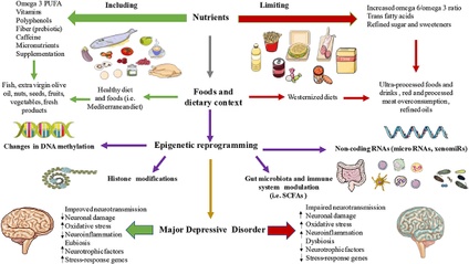 Product image for Vitamin Deficiencies & How to Optimally Modify our Epigenome