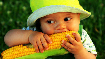 Product image for Vegan/Vegetarian Nutrition For Infants