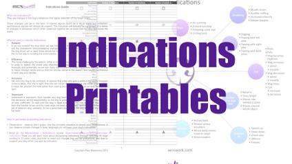 Product image for Indications Printables