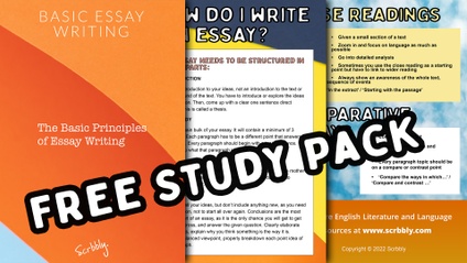 Product image for Basic Essay Writing
