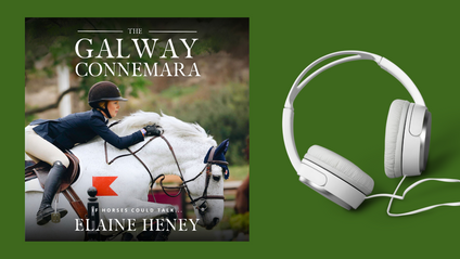 Product image for The Galway Connemara AUDIO BOOK