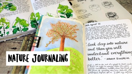 Product image for Nature Journaling