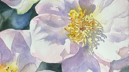 Product image for New! Light & Delicate Sally Holmes Rose Workshop Replay