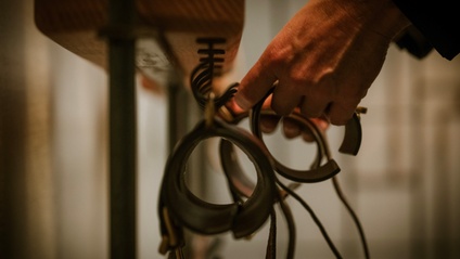 Product image for The BDSM Roadmap