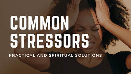 Product image for Common Stressors with Practical Solutions 