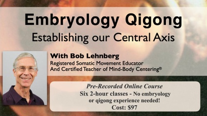 Product image for Qigong of Embryology: Establishing Our Central Axis