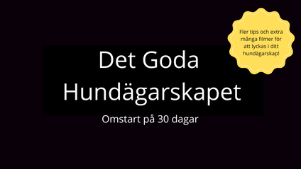 Product image for Månadskurs, Majgruppen, 2025.  HAR STARTAT