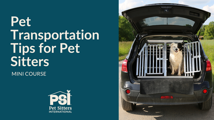 Product image for Mini Course: Pet Transportation Tips for Pet Sitters