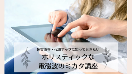 Product image for ホリスティック電磁波対策講座