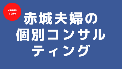 Product image for 個別コンサルティング