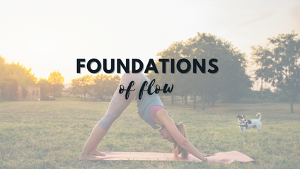 Product image for Foundations of Flow