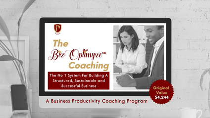 Product image for The BizOptimyze™ Coaching