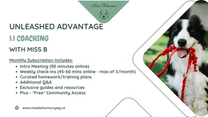 Product image for Miss B's UnLeashed Advantage