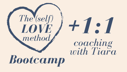 Product image for TSLM Bootcamp + Coaching